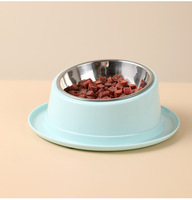 Gamelle inclinée anti-fourmis pour chat, accessoires pour animaux de compagnie, gamelle pour chien, récipient en acier inoxydable de qualité pour chats, fournitures pour animaux de compagnie
