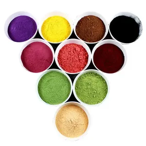 Nhà Máy chiết xuất bột trái cây chiết xuất bột rau bột - Product Image 1