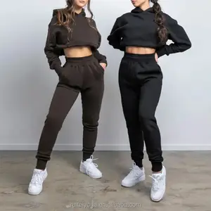 High Quality Jogging Suit Sweatsuit Unisex 2 Piece Set Fleece Pullover Custom Fashion Plain Women Sweat Pant Cropped Hoodies Set