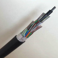 Câble à fibre optique blindé à bande d'acier monomode GYTS 12/24 fibres pour extérieur/aération, résistant aux rongeurs - Vente directe usine et personnalisable