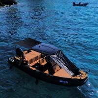 Bateau semi-rigide Liya 7,5 m (25 pieds) pour 16 personnes, coque en fibre de verre certifiée CE ISO, idéal pour les fêtes en famille et les opérations de sauvetage