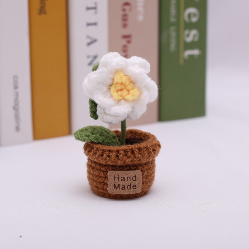 White cape jasmine