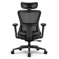 Chaise de bureau ergonomique de direction à dossier haut en maille pivotante avec support lombaire et accoudoirs 4D pour le bureau