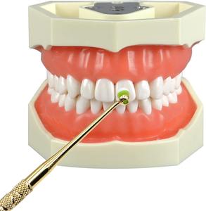 Set di Spatole per Otturazioni Dentali in Resina Composita, Doppia Testa Placcata in Titanio, Manico Spesso, Accessori per Dentisti - Product Image 5