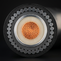 Câble d'alimentation blindé SWA gainé de cuivre, isolé XLPE, 0,6-1 kV, résistant aux hydrocarbures, pour installation souterraine (pétrole et gaz)