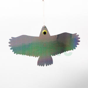 Moulants non toxiques en forme de <span class=keywords><strong>pigeon</strong></span>, aigle jaune - Product Image 3