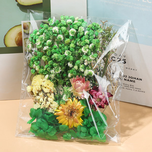 <span class=keywords><strong>Fleurs</strong></span> séchées naturelles, couleurs mélangées, feuilles séchées pour l'artisanat DIY, bougies, bijoux en résine, pendentifs pour ongles, cartes, mariage - Product Image 2