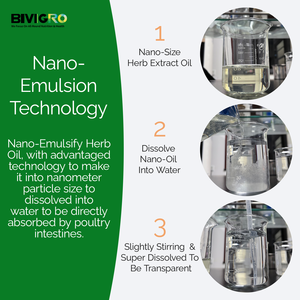 Extrait d'huile d'origan de qualité alimentaire, solution orale de carvacrol pour améliorer la croissance des poulets de chair et la production d'œufs chez les <span class=keywords><strong>poules</strong></span> pondeuses - Product Image 5