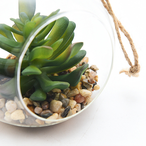 Appeso Globi di Vetro Terrario Sfere di Vetro Fioriera Grande Apertura di Aria Fern <span class=keywords><strong>Piante</strong></span> <span class=keywords><strong>Vaso</strong></span> di Fiori Artificiali di <span class=keywords><strong>piante</strong></span> <span class=keywords><strong>grasse</strong></span> - Product Image 5
