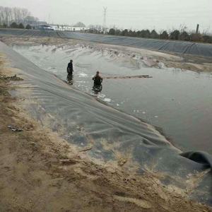 Revêtement <span class=keywords><strong>d</strong></span>'étang de ferme de poissons de haute qualité, membrane géomembrane hdpe, matériaux plastiques étanches <span class=keywords><strong>pour</strong></span> étang <span class=keywords><strong>d</strong></span>'aquarium et queues de poissons - Product Image 3