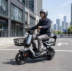 Scooter de 48V/60V para Adultos, de Alta Velocidad para Ciudad con Cesta, Bicicleta Eléctrica de Largo Alcance para Desplazamientos Urbanos OWH01, Personalización OEM/ODM Integral - Product Image 2