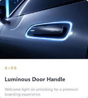 Maßgefertigtes Leuchtendes Auto-Logo-Licht LED Glühendes Emblem-Abzeichen, Ausgeschnittene Fahrzeug-Logo-Ersatzlampe