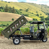 2025 OEM/ODM Véhicule à moteur à 3 roues 200CC CCC Certifié Tricycle à 3 roues Corps ouvert Charge lourde Cargo/Passager Essence/Essence