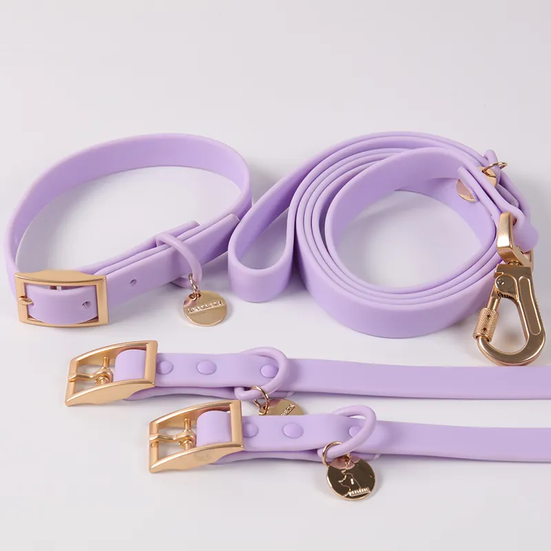 OKEYPETS hot selling custom logo pvc dog collar durable coated fashionable new pvc webbing collar dog with name tag
