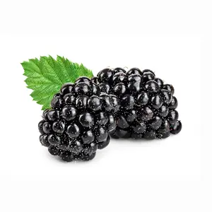 Wholesale bulk factory prIce IQF frozen mulberry