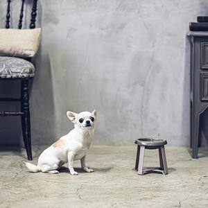 Feeding Rack Wholesale <b>Stand</b> Raised Health Cat Feeder <b>Food</b> Elevated Ceramic Bowl <b>Dog</b> Innovative Pet Product - Product Image 2