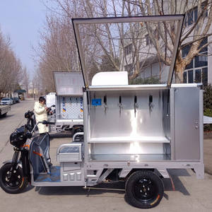 Triciclo eléctrico para comida, barra de cerveza, triciclo, carritos de helado, carrito de cóctel móvil, camión de comida con caja refrigerada - Product Image 1