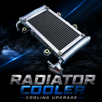 Radiateur de refroidissement à eau pour Bashan 200CC 250CC BS200 BS200S-7 UTV ATV Quad Buggy Accessoires Moteur