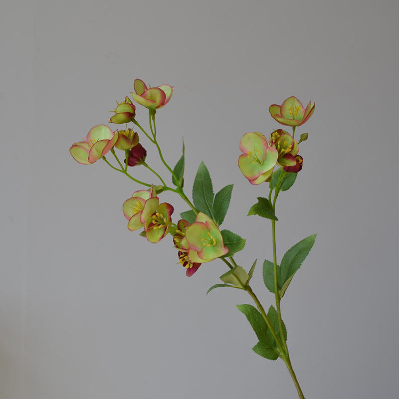 สีเขียว