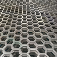 Marche d'escalier antidérapante en acier perforé galvanisé à chaud à trous hexagonaux, plaque de sécurité à trous surélevés, robuste