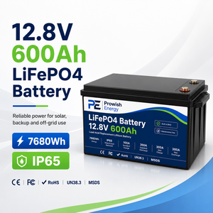 Batteria al Litio LiFePO4 a Stato Solido 12.8V 600Ah a Ciclo Profondo, 6000 Cicli, Sostituzione per <span class=keywords><strong>Batterie</strong></span> al Piombo-Acido per Camper, Nautica, Solare Prowish - Product Image 1