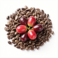Heetverkopende fabrieksgroothandel 100% puur gevriesdroogd Miracle Berry fruitpoeder met vitamineverrijking, zuur smaakversterkend, voedingskwaliteit