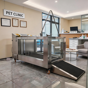 Caminadora Subacuática para Rehabilitación de Perros, Equipo de Hidroterapia Canina para el Hogar, Caminadora Acuática Eléctrica en Venta - Product Image 1