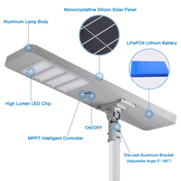 Lampadaire Solaire Tout-en-un 100W en Aluminium Moulé Sous Pression IP65 WP avec Panneau Mono et Batterie LiFePO4 pour Routes Rurales, Cours et Parkings