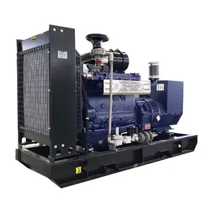 Goede Prijs Aardgasgenerator 300kw 375kva Gasgenerator