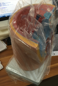 Modelo Anatómico Sagital Femenino de PVC ADA-A1086 para Escuelas de Medicina y Entrenamiento en Ciencias Anatómicas, Origen Shanghái - Product Image 3