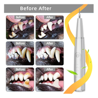 Nouveau style de brosse à dents électrique pour chiens, blanchiment des dents et fil dentaire, nettoyeur à ultrasons pour animaux de compagnie