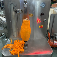 Automatische elektrische fruitenschilmachine voor mango en ananas met lange levensduur