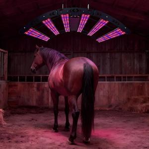 Leds Colgando Mascotas Caballos Equipo Equino 660nm 850nm Led Luz Roja Cerca de Infrarrojo Terapia de Mascotas para Panel de Caballo - Product Image 5