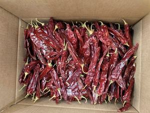 Gran precio de exportación, pimiento rojo <span class=keywords><strong>seco</strong></span> dulce, <span class=keywords><strong>guindilla</strong></span>, vainas largas de pimentón con tallo, Importadores De <span class=keywords><strong>Chile</strong></span> Rojo <span class=keywords><strong>Seco</strong></span> - Product Image 3