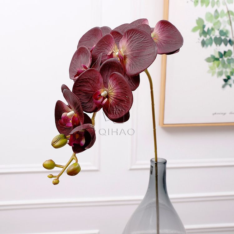 สีดำม่วง