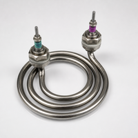 Élément chauffant OEM pour cuiseur à pâtes 3KW 220V SS304, serpentin plat pour usine alimentaire, tube en spirale