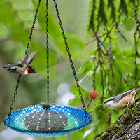 Vente en gros d'artisanat de bain en verre fusionné thermique Mangeoires d'oiseaux de jardin extérieur Mangeoires d'eau suspendues Bains d'oiseaux de patio