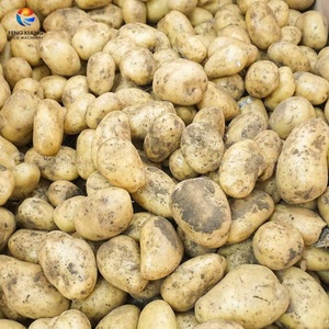 สายการผลิตมันฝรั่ง 3 ตัน/ชม. |   โซลูชันแบบครบวงจรสำหรับการให้อาหาร-ทำความสะอาด-ปอกเปลือก - Product Image 5