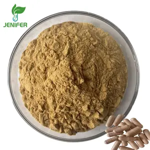 Green coffee bean extract powder capsule 50% chlorogenic acid green coffee bean extract