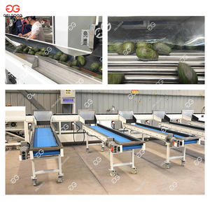 Sistema Industrial de Clasificación y Calibración de Frutas, Máquina Contadora de Transportadores de Clasificación, Clasificador Automático de Frutas y Verduras - Product Image 5