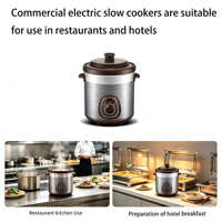 Marmite Électrique en Céramique Non Revêtue, Durable, Entièrement Automatique, pour Congee et Soupe, Usage Commercial, ODM
