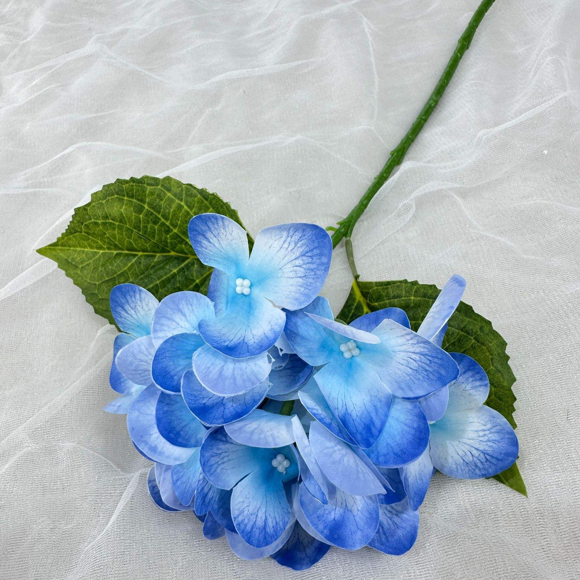 รอยัลบลู