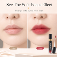 Gloss à lèvres longue tenue effet miroir, fourni avec tube rond noir pour un maquillage nude, aspect naturel, marque privée