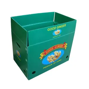 Polypropylene PP Coroplast Plastic Cardboard Fruit Box For Shipping