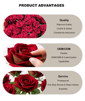 Anpassbare Handgefertigte Einzelne Rote Rose Künstliche Blume Realistisch Echt Wirkende Samtblume Umweltfreundlich für Hochzeiten
