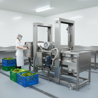 Industriële KAYA motor aangedreven was- en verwerkingslijn voor fruit (avocado, mango), groenten (aardappel) en andere producten.