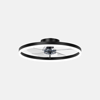 Ventilateur de plafond à pales en acrylique transparent avec lumière, 4 pales, silencieux, moteur DC réversible, LED dimmable, télécommande, pour chambre et maison