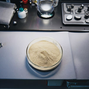 99% 순수 양 태반 추출물 가수 분해 단백질 분말 동결 건조 프리미엄 스킨 케어 웰빙 보충 동물 추출물 - Product Image 3