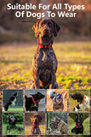 ESEEK Rastreador de Salud Canina con IA: IA de Postura de 9 Ejes + Reconocimiento de Emociones por Ladrillos + Exportación de Informes Veterinarios