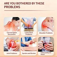 Patchs Corporels Traditionnels Zongyitang de Haute Qualité à Base de Plantes, Soulagement Doux et Externe de l'Arthrite et des Douleurs Articulaires